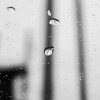 听风不是雨