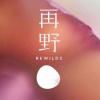 再野