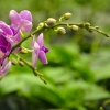 逗沙十三郎