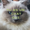 Mmy_