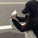 廿廿2.0