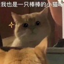 青时 未至