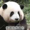 戚宜