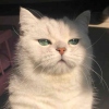 舅