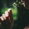 送你一朵小红花