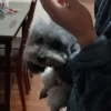 没有那么的不同
