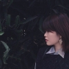 陈诗