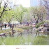 百变金刚007