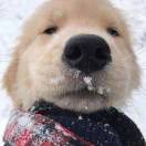 一介俗人15183188266