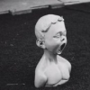 白巴草-art