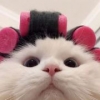 Moncher_Belle