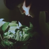 HONG_ZHU_uU