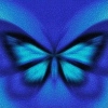 ×