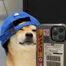 中二的河西