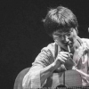 眼斑鸠
