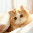 一袋米能扛几楼