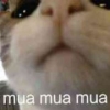 ysyeihwhsiskwjhe