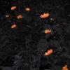 灰阶128