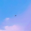 昵称000o
