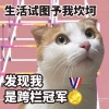 McTeniTns330（摄影脑版）