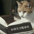 阿发