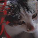 快乐水快乐不快乐