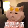 榛仁香草巧克力