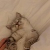 覀I覀