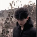秋