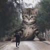 出色