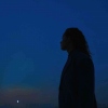 树林宇宙