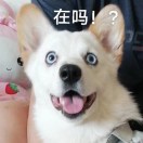 Geming、