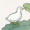 剥松子爪爪快