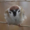 那钦