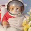 夏季米粒